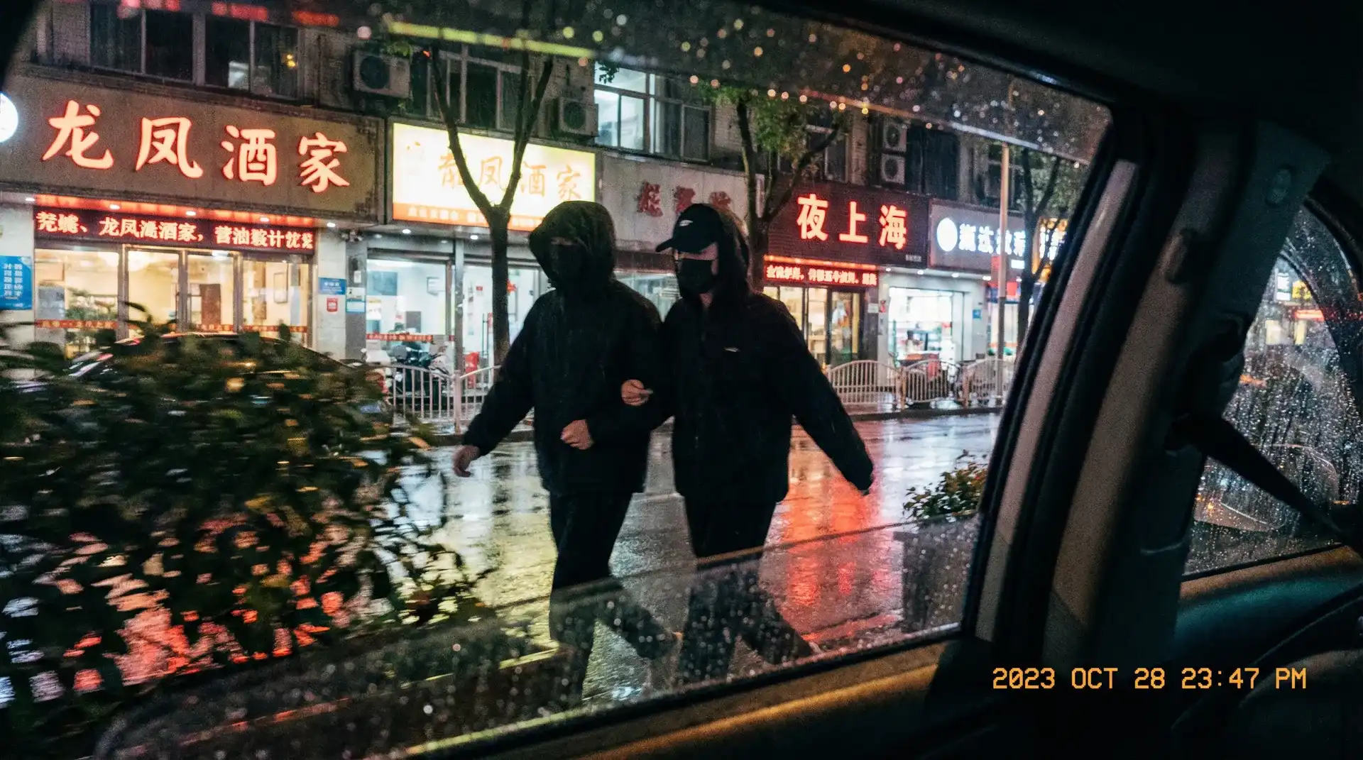 人物动物交互免费看 - 顶流明星深夜密会现场抓拍照片